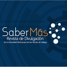 ConsolidaciónUMSNH